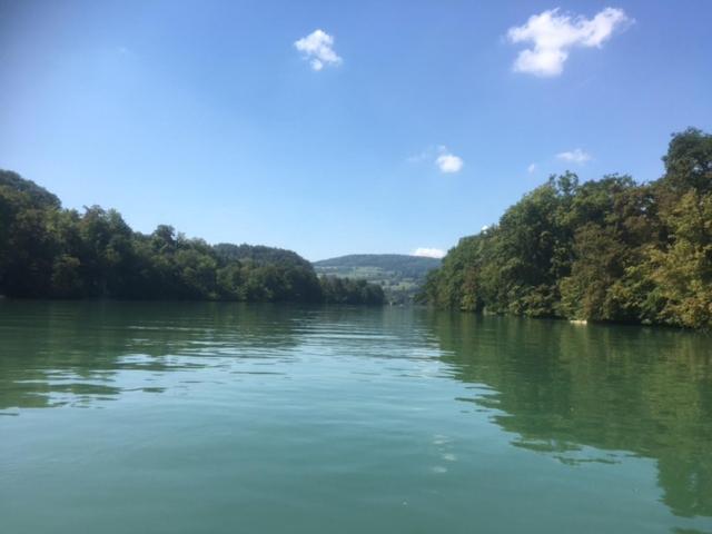 Апартаменты Swiss View Hohentengen am Hochrhein Экстерьер фото
